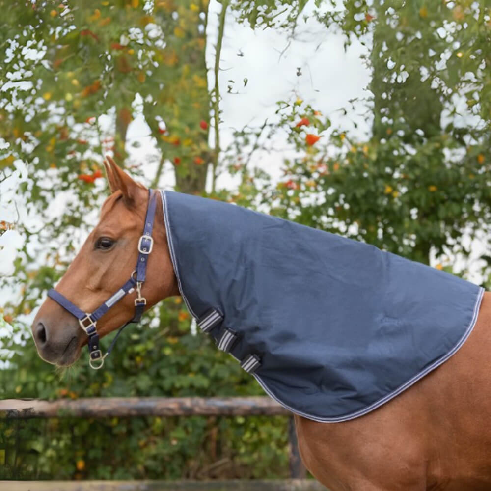 Meilleurs prix pour Couvre-cou imperméable pour cheval QHP 100g