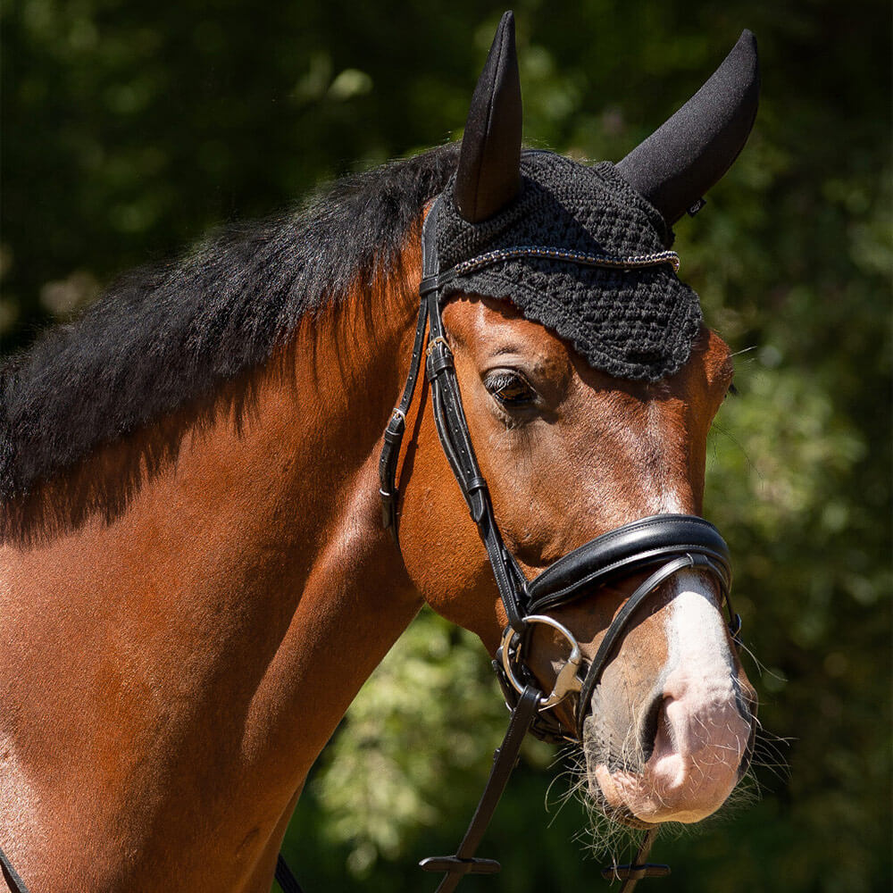 Bonnet pour poney court QHP Flore