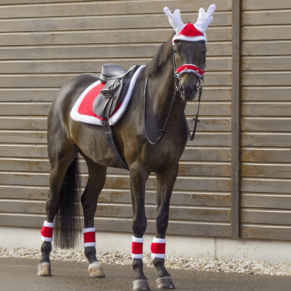 Meilleurs prix pour Tapis de selle de Noël QHP