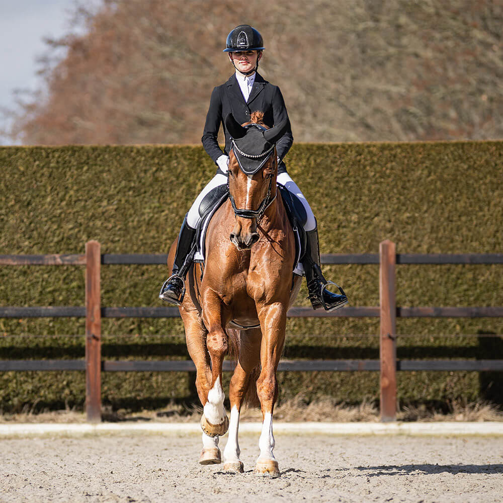 Meilleurs prix pour Bonnet anti-bruit pour cheval Presteq PerformNow