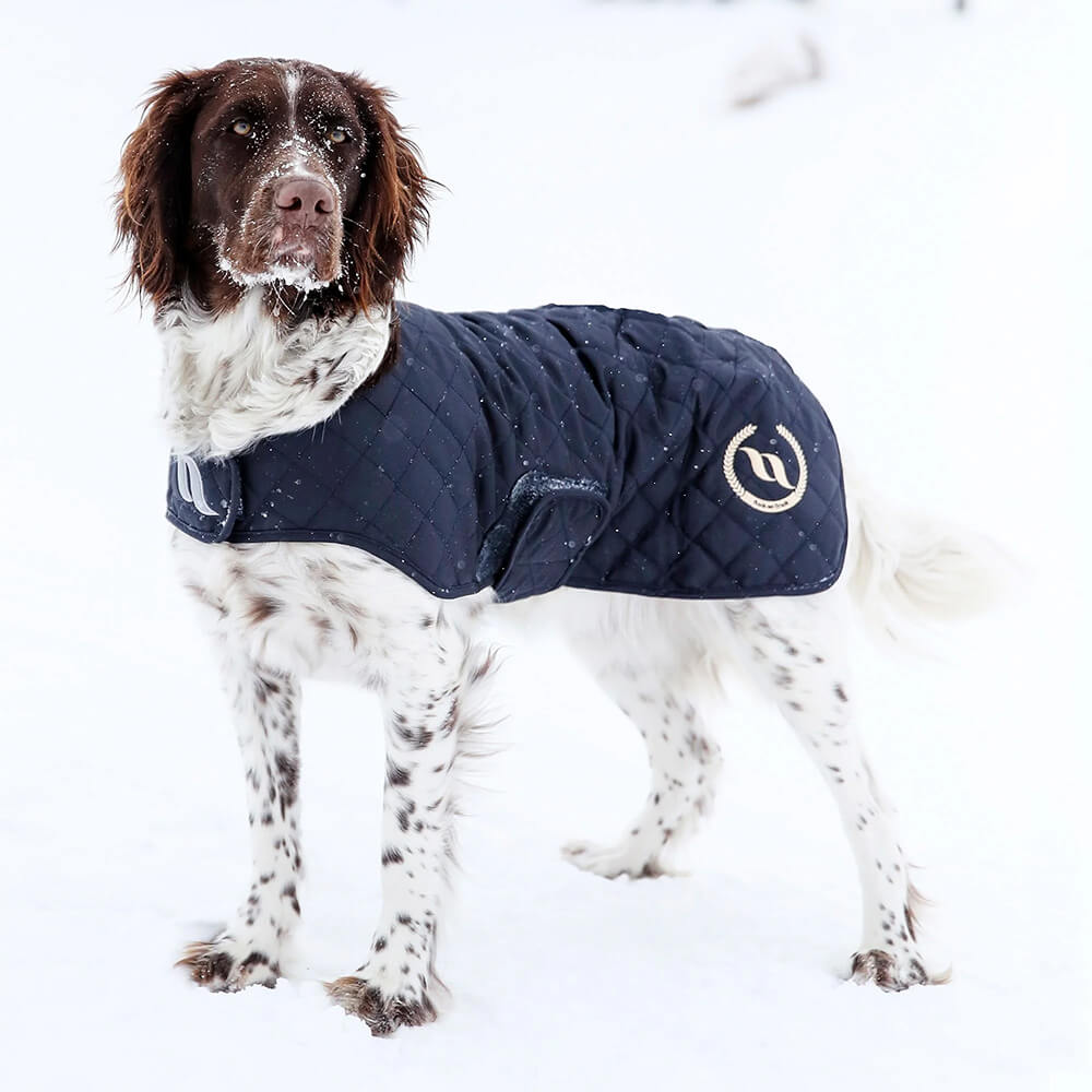 Back on Track Nights Collection Hundemantel | HorSeven