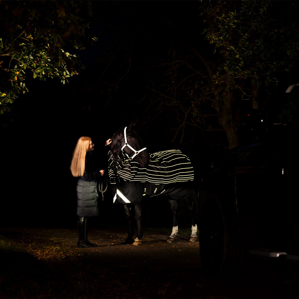 Couverture d’extérieur Horseware Amigo 1200D FieldSafe...
