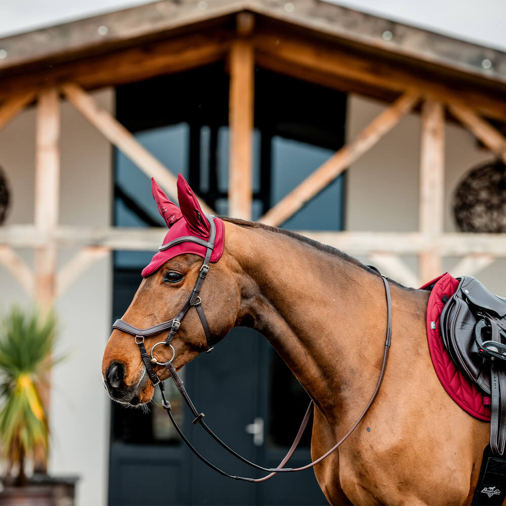 Meilleurs prix pour Horseware Amigo Ear Net