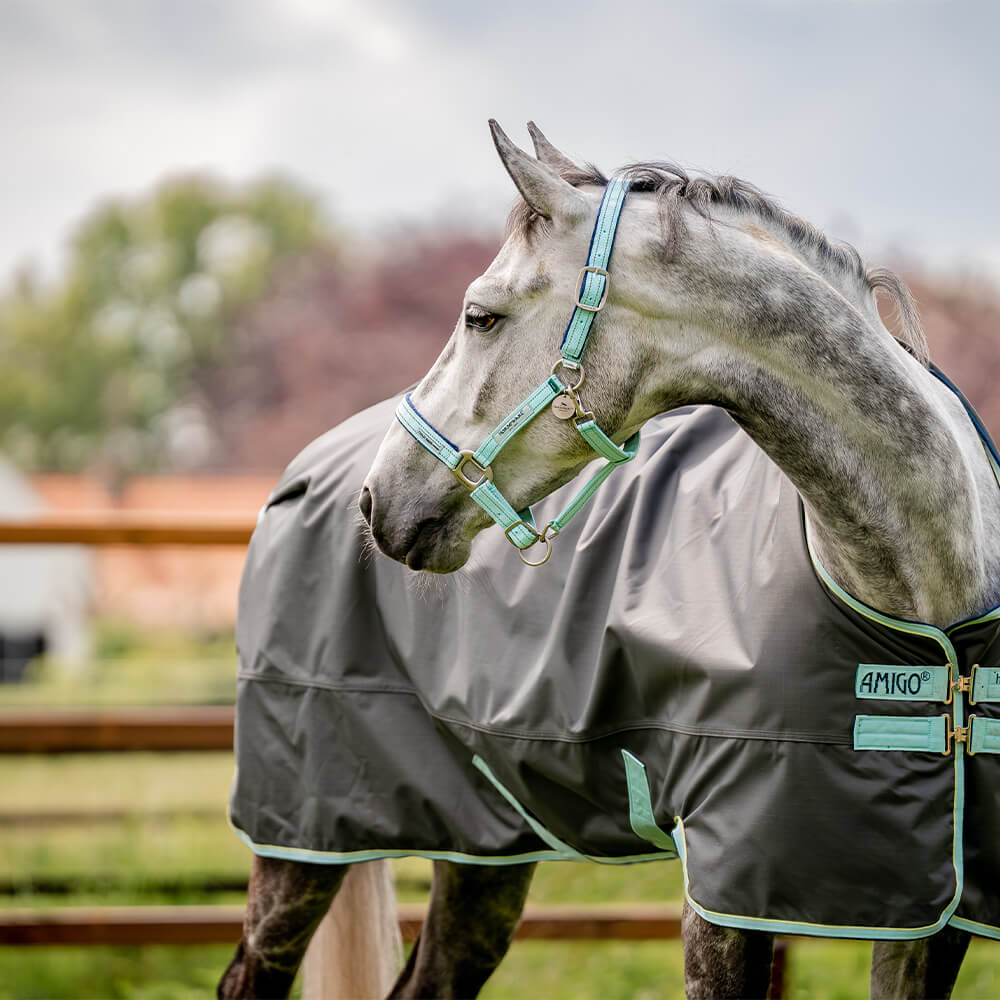 Horseware FieldSafe Headcollar