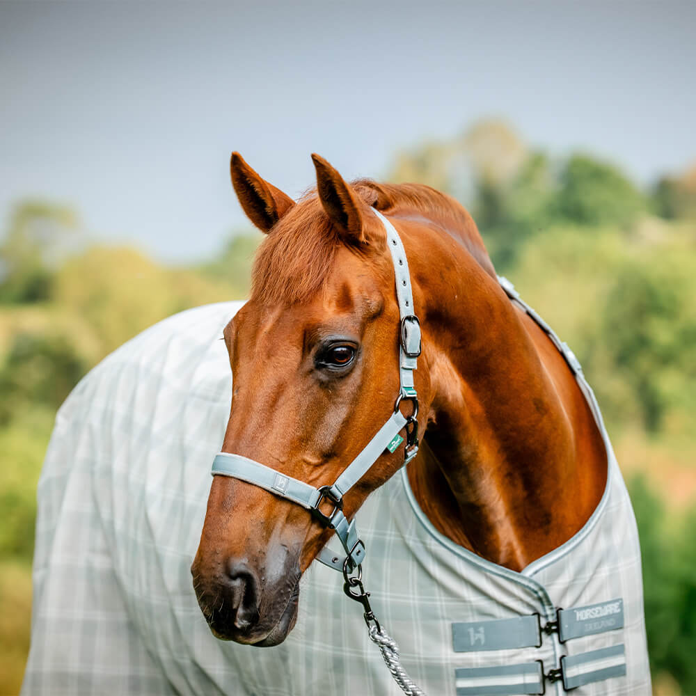 Horseware Newmarket Headcollar & Leadrope
