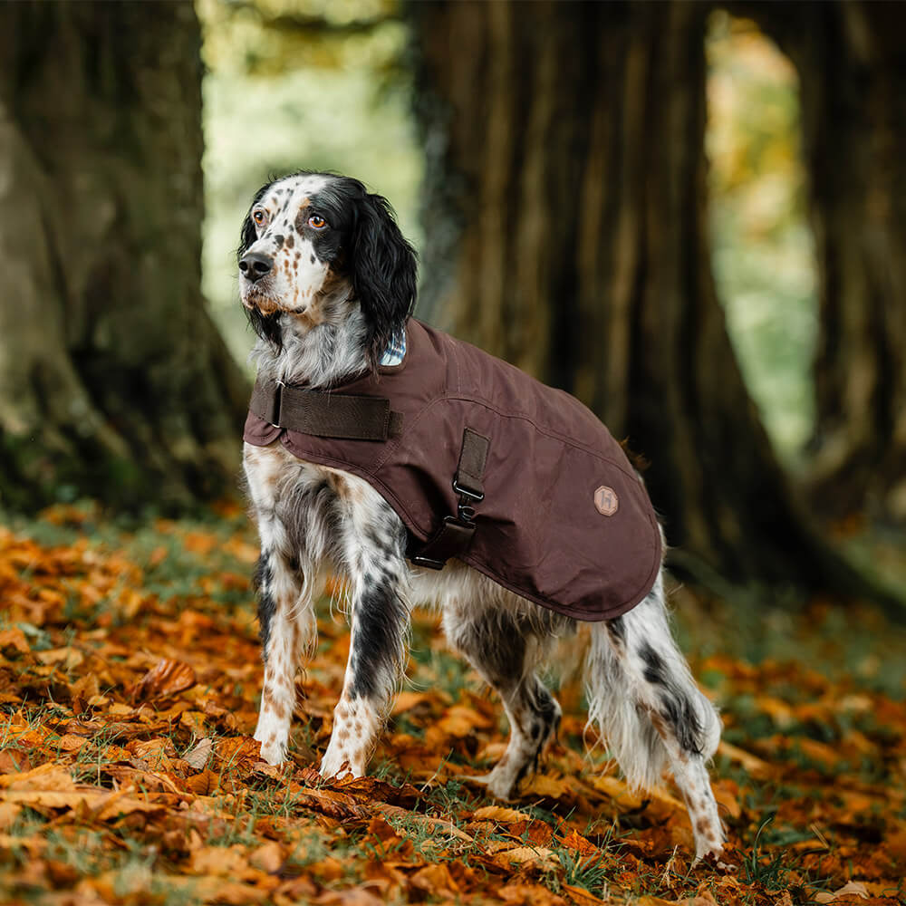 designer hundebett Hundebett aus Rindsleder — Henri | Luxus-Hundebett | Waschbarer Bezug |  Handmade in Italy main image 0