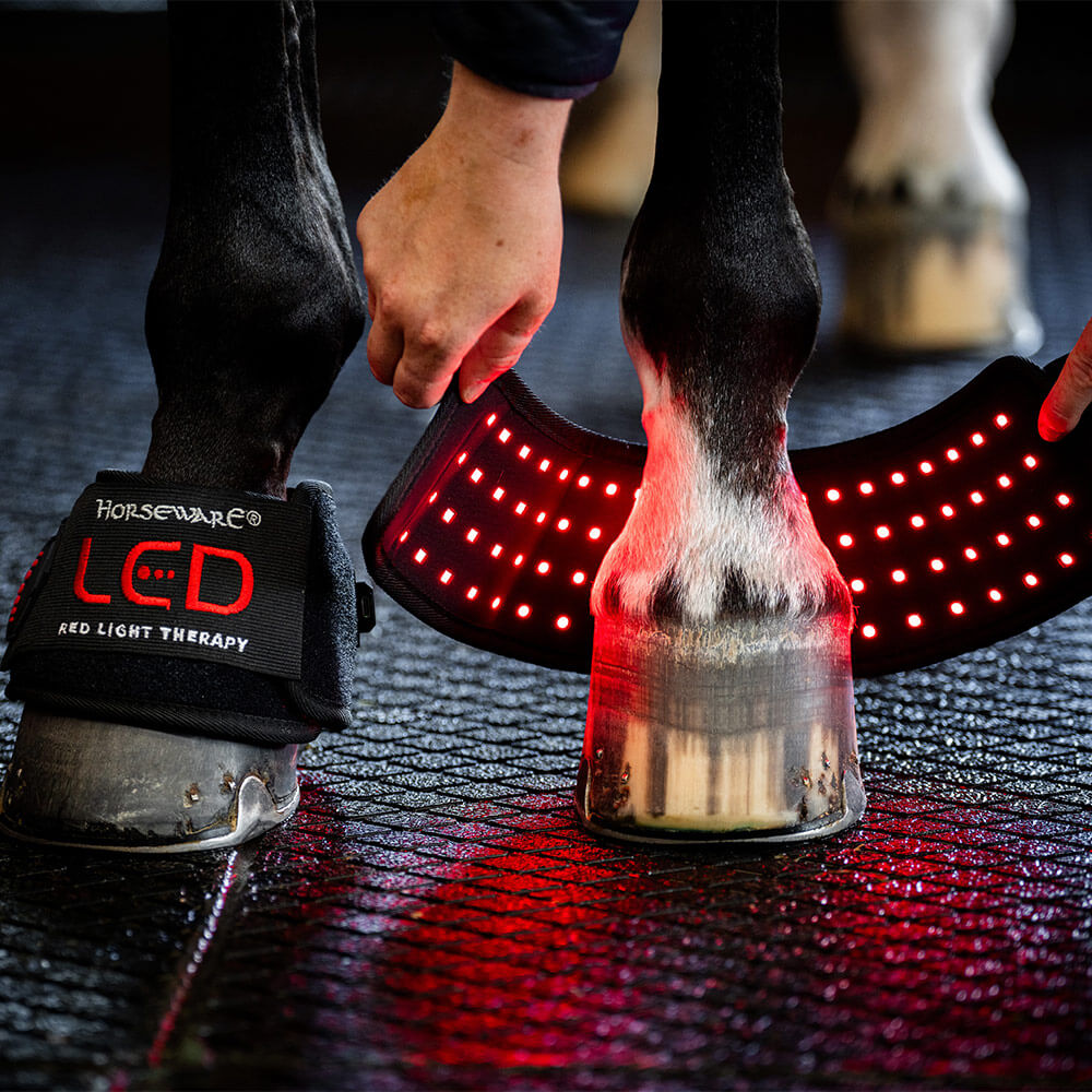 Meilleurs prix pour Horseware LED Red Light Therapy Mini Wrap