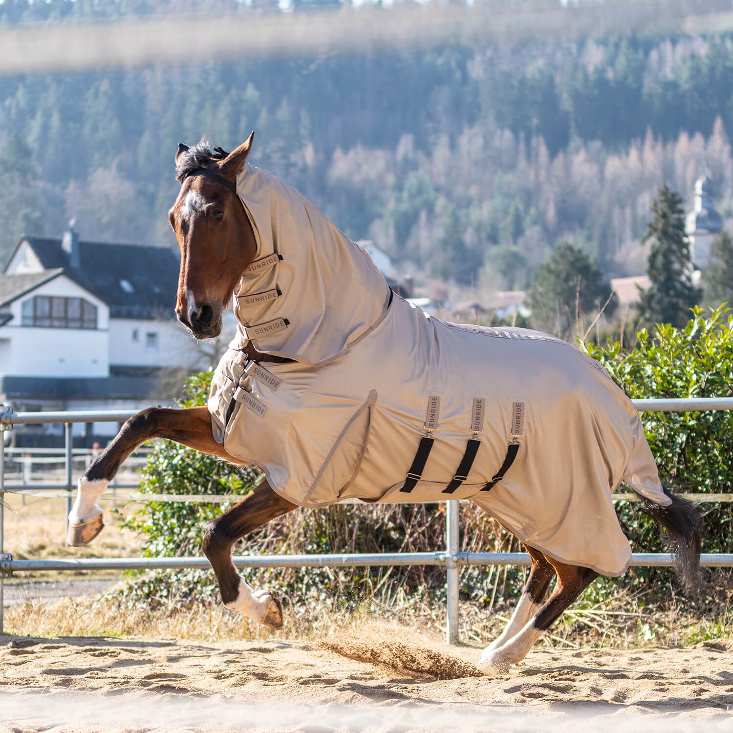 Comparer les prix de Sunride Couverture anti-mouches Kuba