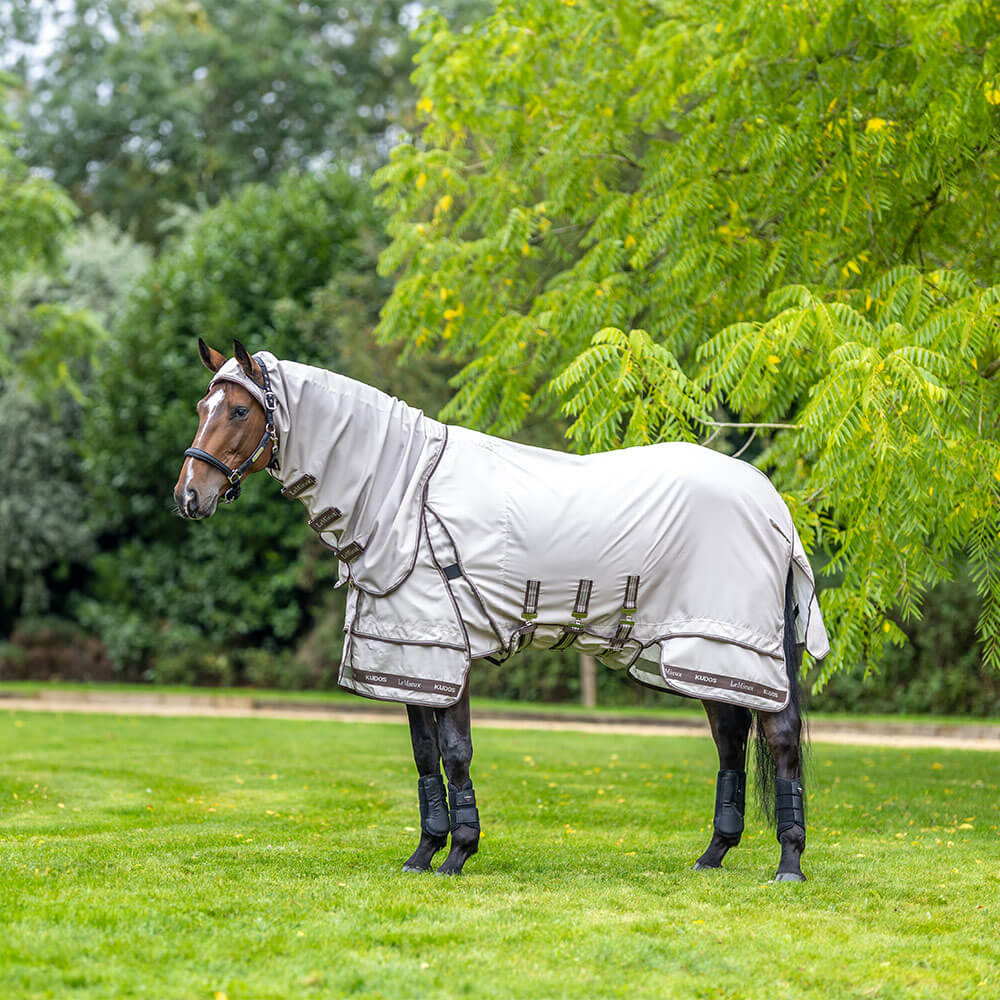 Sous-couverture d’équitation 350g LeMieux Kudos