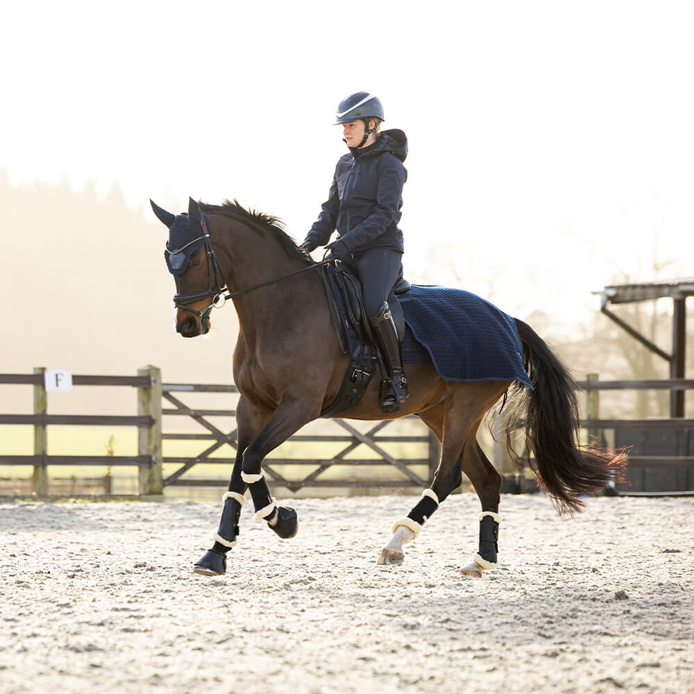 Meilleurs prix pour LeMieux Clima-Tek Exercise Quart Sheet