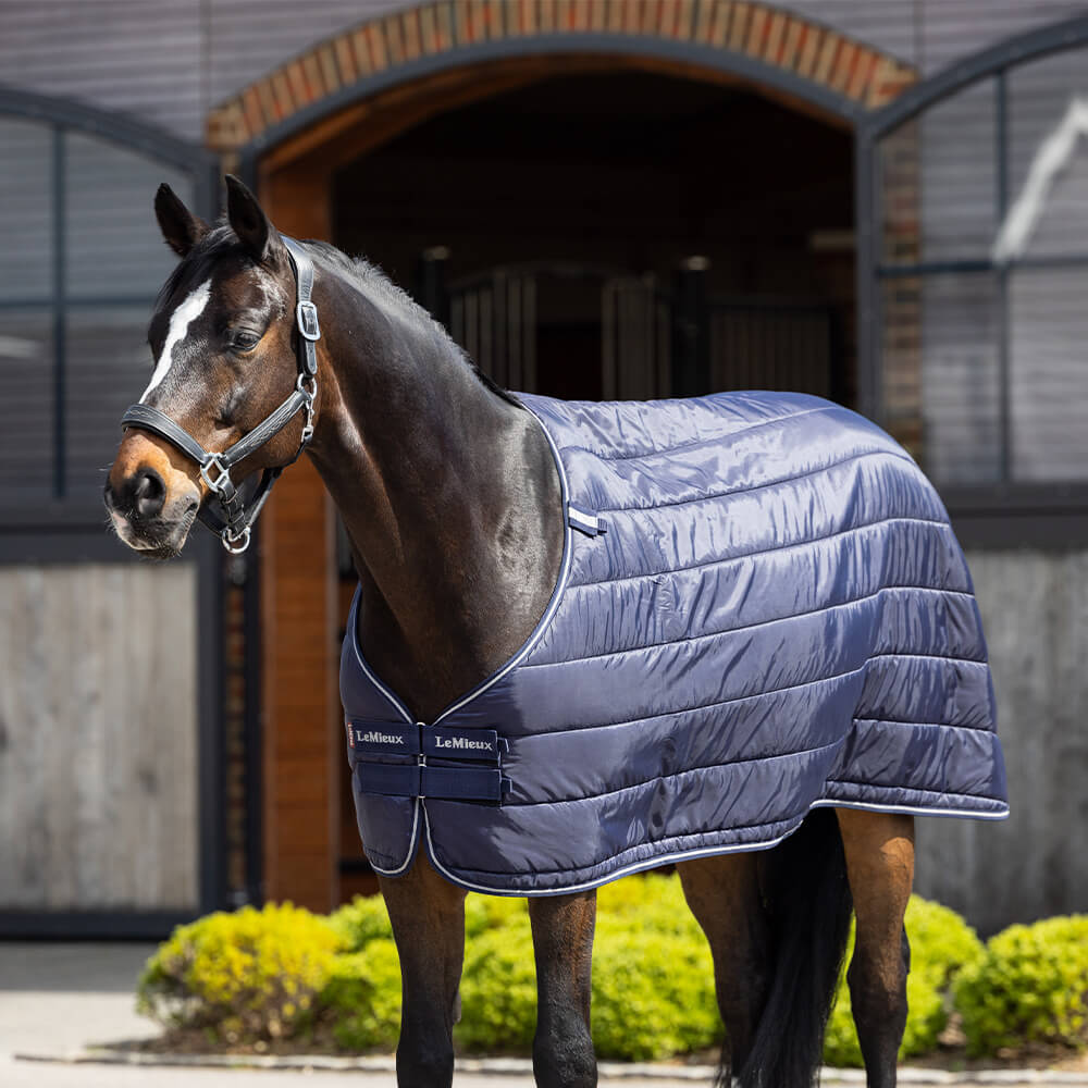 Comparer les prix de Sous-couverture pour cheval LeMieux 200 g