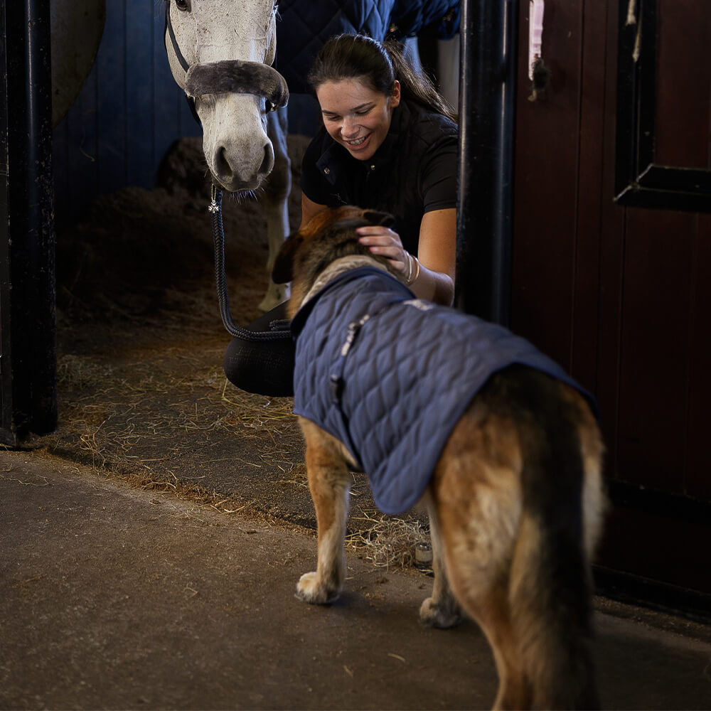 Comparer les prix de Bucas Cosy Dog Rug – Manteau pour chien