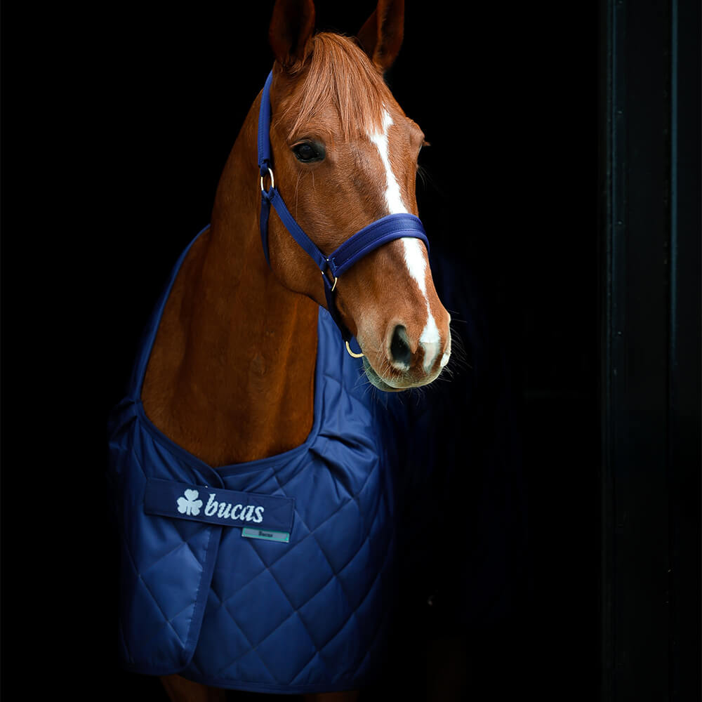 Meilleurs prix pour Bucas Cosy Stable 0g