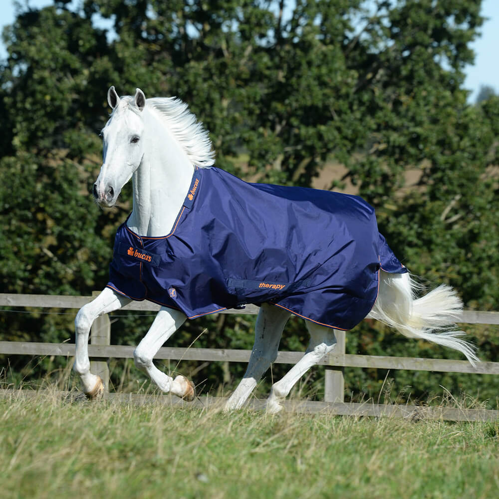 Meilleurs prix pour Bucas Therapy Turnout Big Neck Light 0g