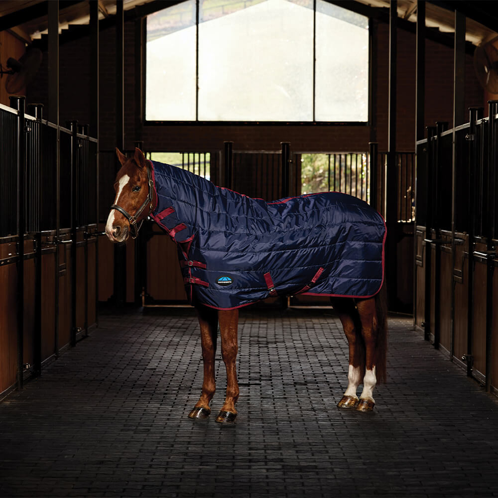 Meilleurs prix pour Couverture d'extérieur pour cheval Weatherbeeta Comfitec 210D 220g
