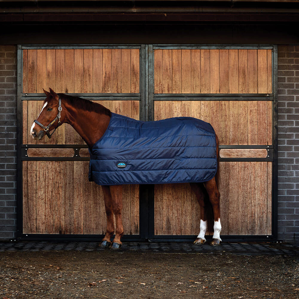 Meilleurs prix pour Sous-couverture pour cheval Weatherbeeta Comfitec 50g