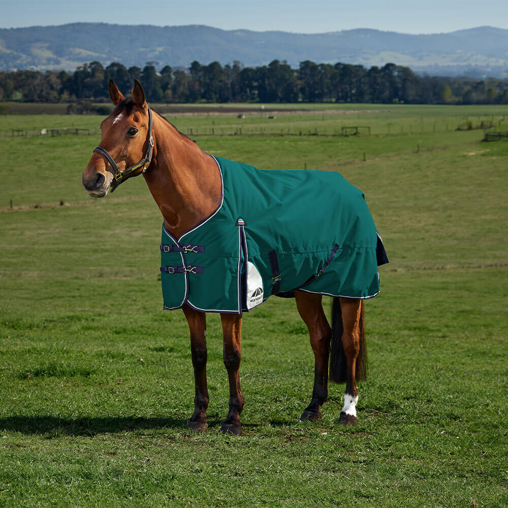 Couverture d'extérieur pour cheval Weatherbeeta Comfitec Plus Dynamic 220g