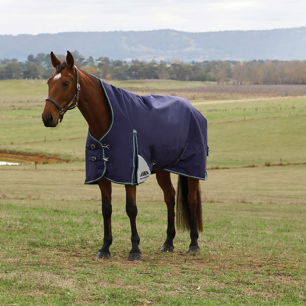 WeatherBeeta ComFiTec Plus Dynamic Turnout High Neck 100g - Taille 135 - Bleu