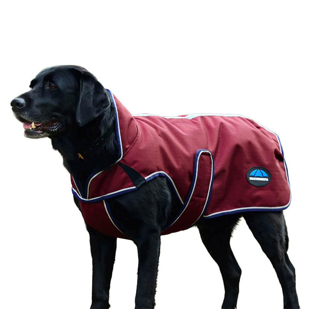 Meilleurs prix pour Weatherbeeta Comfitec Premier Deluxe Waterproof Dog Coat
