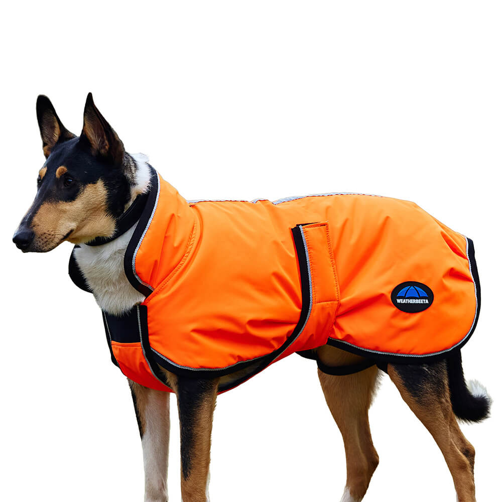 Comparer les prix de Manteau pour chien Weatherbeeta Comfitec Reflective Deluxe 300D