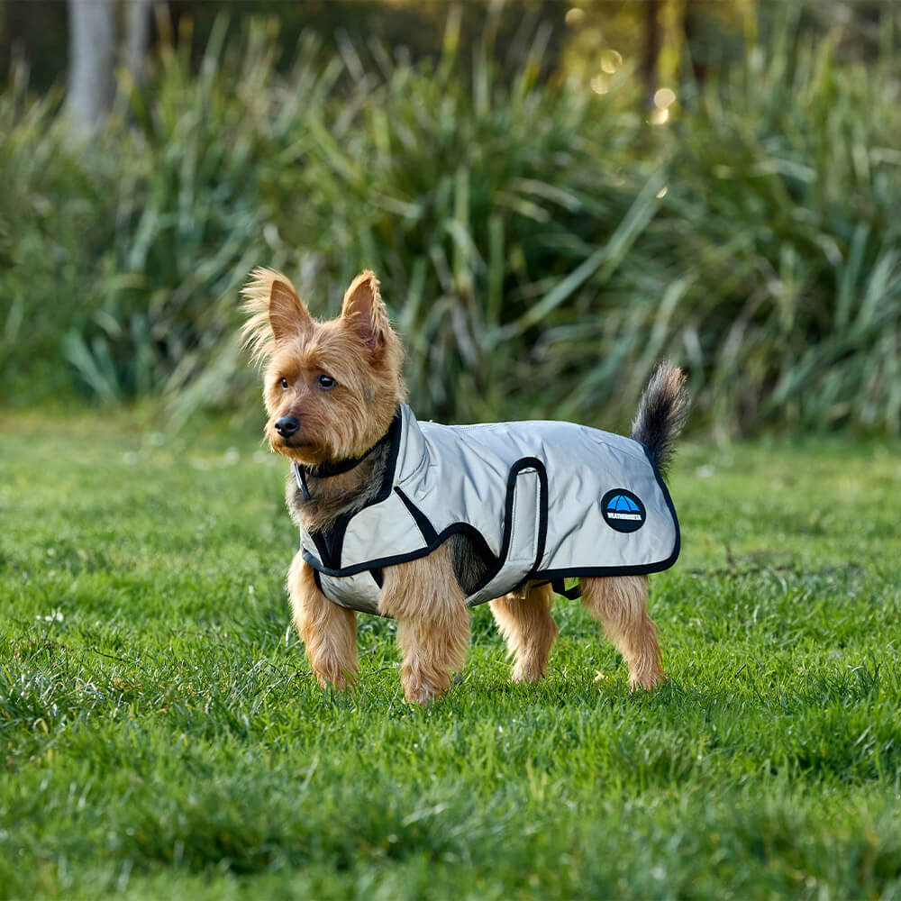 Meilleurs prix pour Manteau pour chien impérmeable Weatherbeeta Comfitec