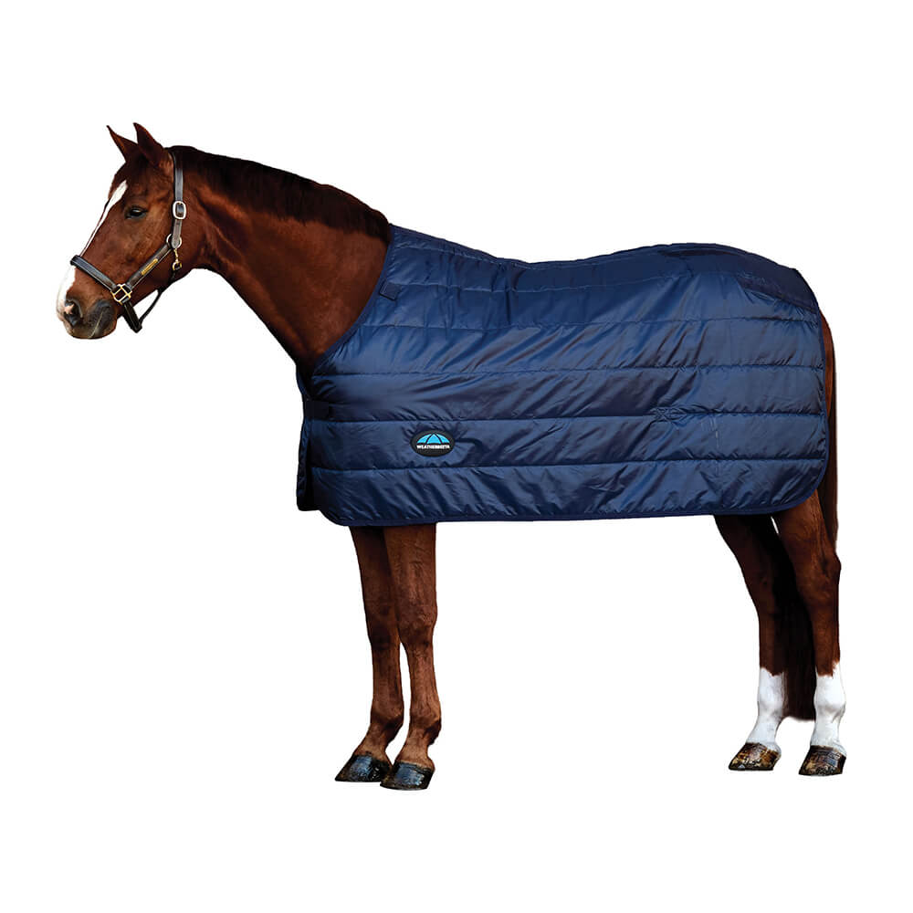 Meilleurs prix pour Weatherbeeta Comfitec Thermi-Heat Liner 100 g
