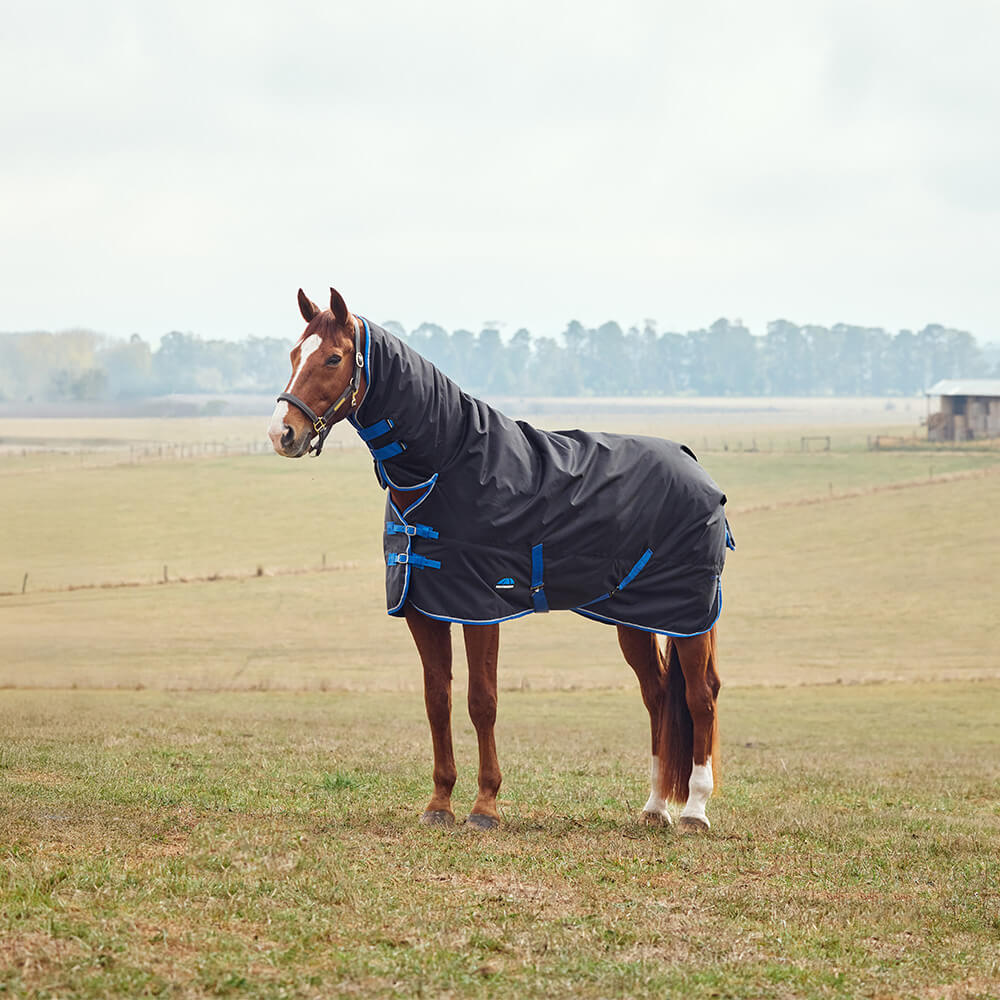 Meilleurs prix pour Couverture d'extérieur pour cheval Weatherbeeta Comfitec Tyro 220g