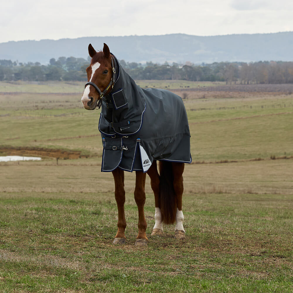 Couverture d'extérieur pour cheval Weatherbeeta Comfitec Ultra 220g