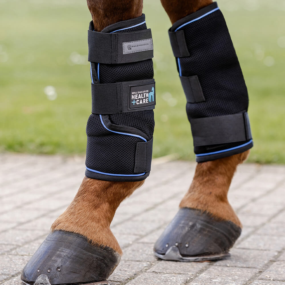 Meilleurs prix pour Guêtres pour cheval Waldhausen Health + Care Ice Layer (x2)