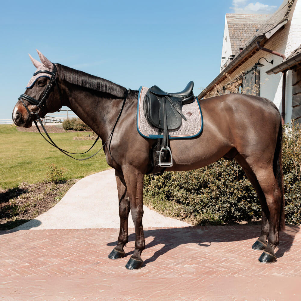 Comparer les prix de Tapis de selle pour cheval Kentucky Horsewear