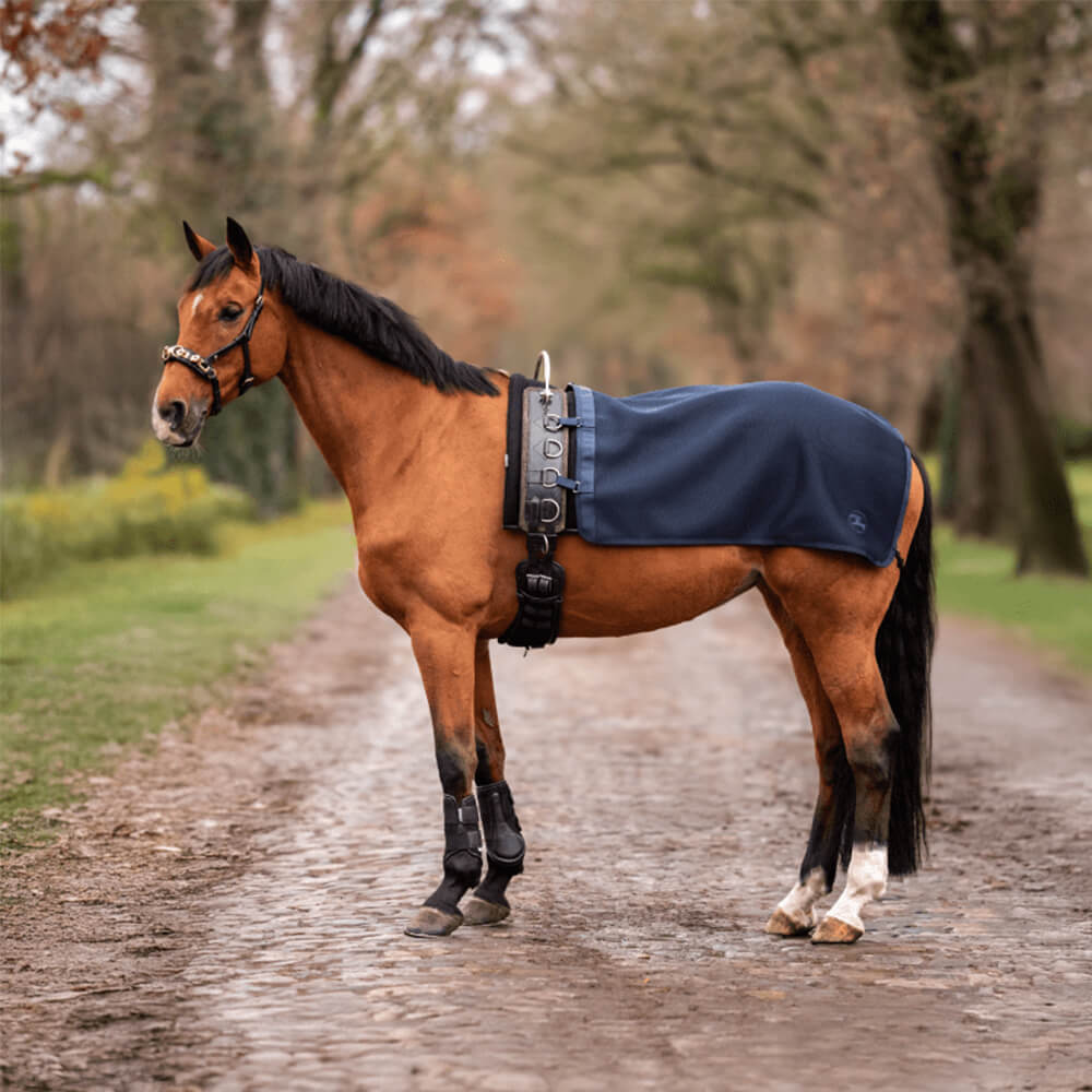 Comparer les prix de Busse Couverture de longe 3D AIR ST