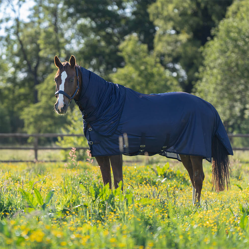 Imperial Riding Couverture anti-mouches IRHReese - Taille 165 - Bleu