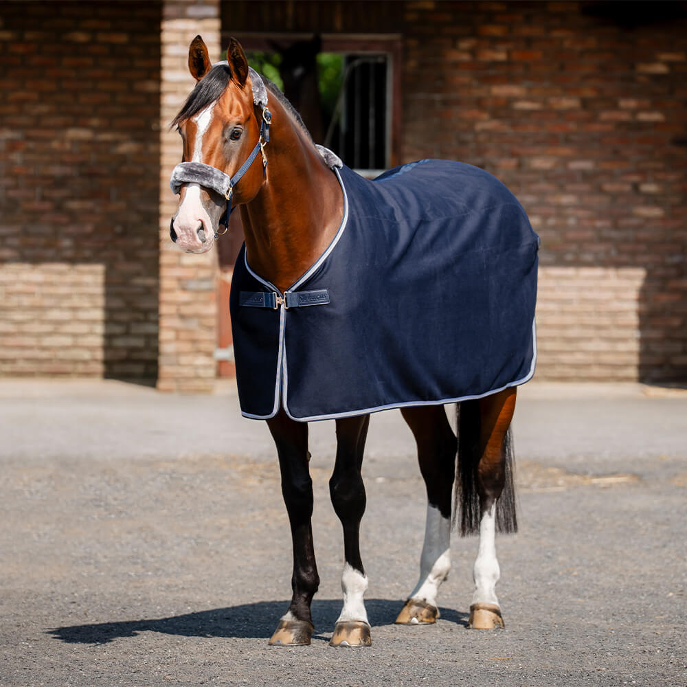 Meilleurs prix pour Bucas Emerald Wool Rug