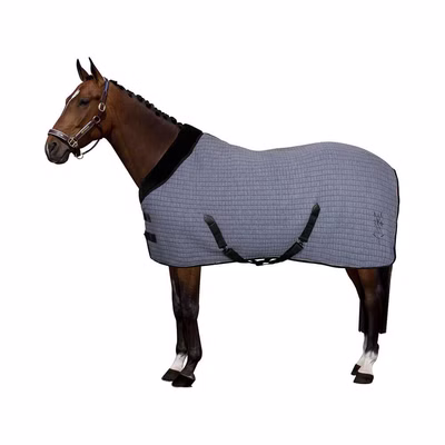 HV Polo Stalldecke HVPFranka