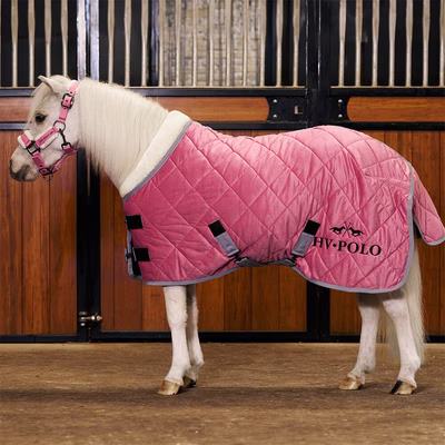 HV Polo HVPSacha Stalldecke 0g für Ponys und Shettys