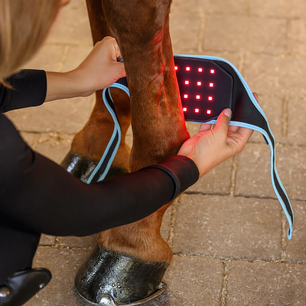 Waldhausen Health + Care Infrared Flexpad | HorSeven