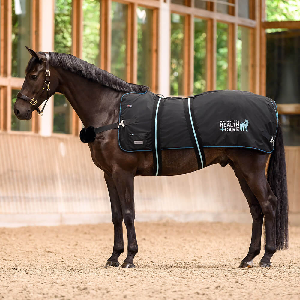 Waldhausen Health + Care Tec-Supreme Heiz- & Massagedecke | HorSeven