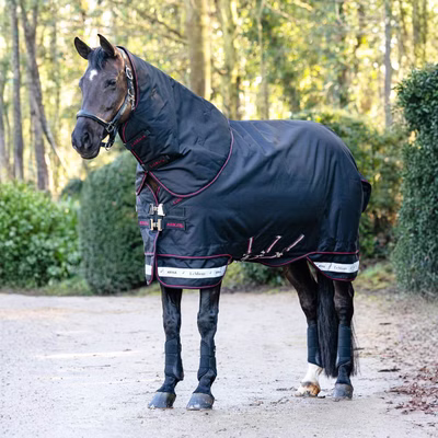 LeMieux Arika Storm-Tek Rug 200g