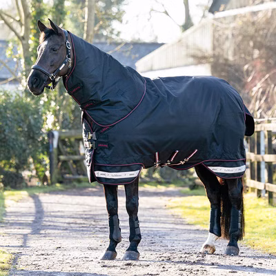 LeMieux Arika Storm-Tek Rug 350g