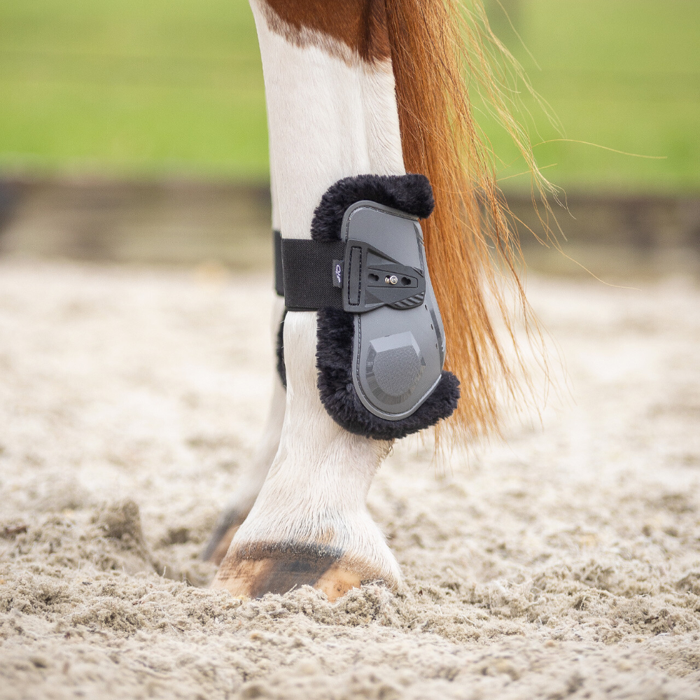 Protège-boulets pour cheval QHP Sensisoft