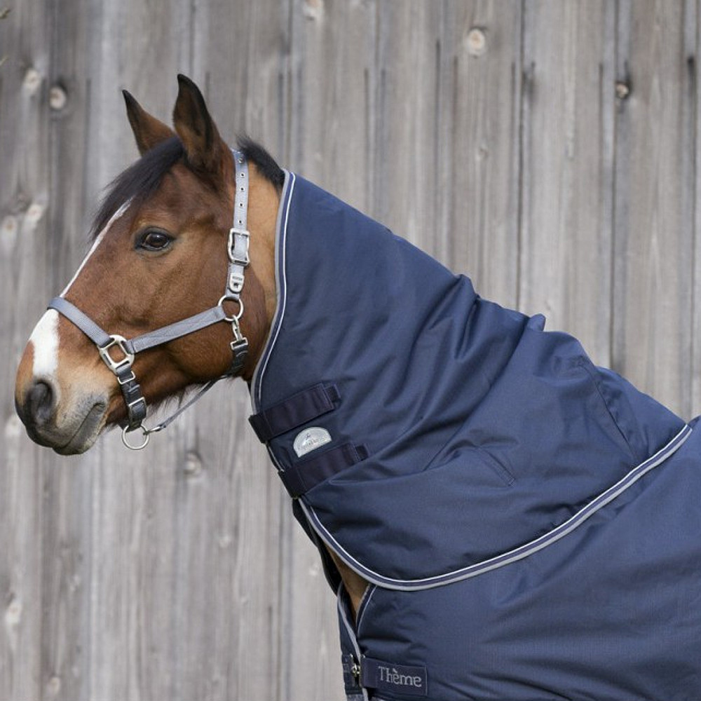 Meilleurs prix pour Couvre cou pour cheval Equithème TYREX 600 D 200g