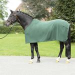 HKM Reflection Pferdedecke Dunkelgrün 145 - Schutz Vor Unterkühlung & Schmutz