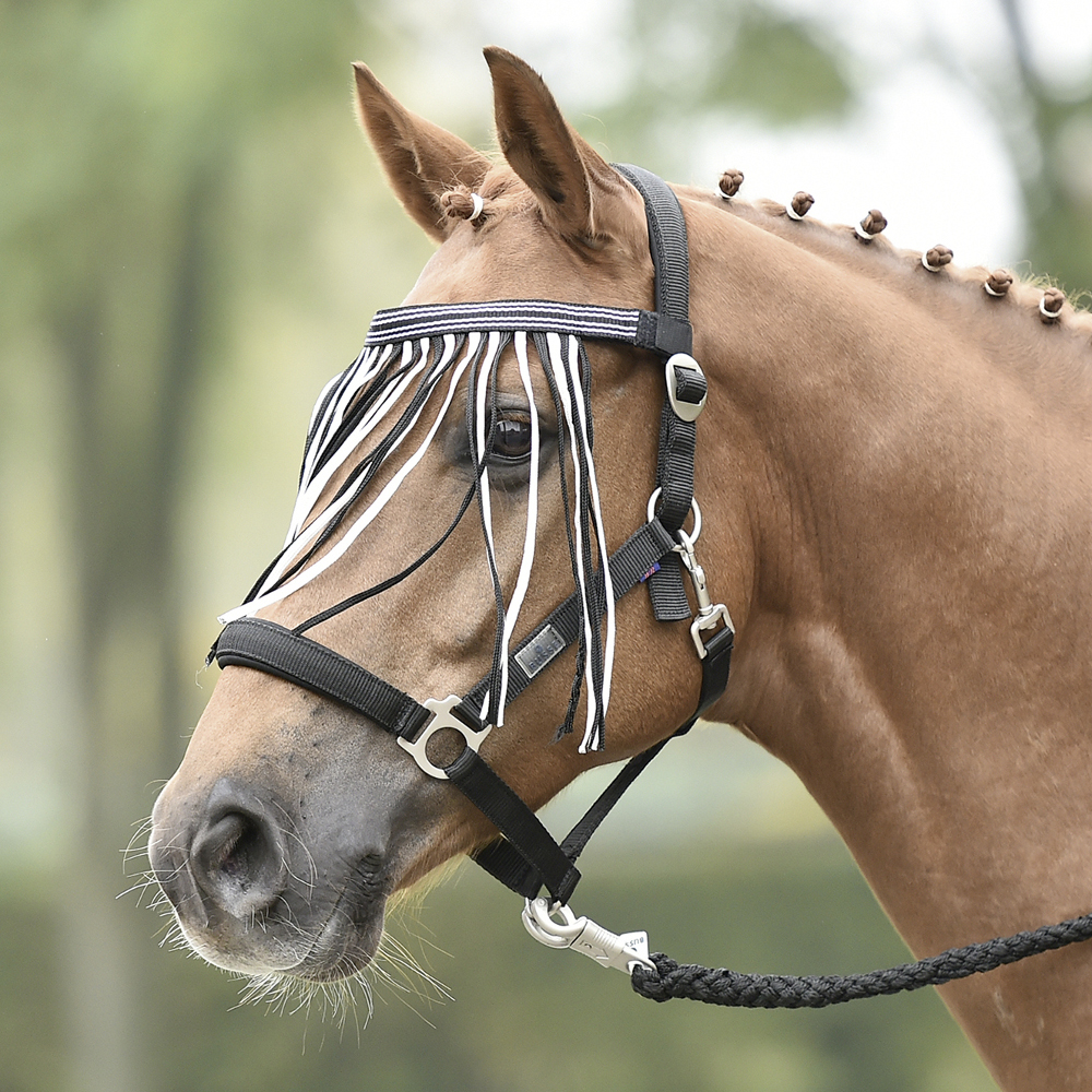 Meilleurs prix pour Cordon anti-mouches Busse VISBY - black/white