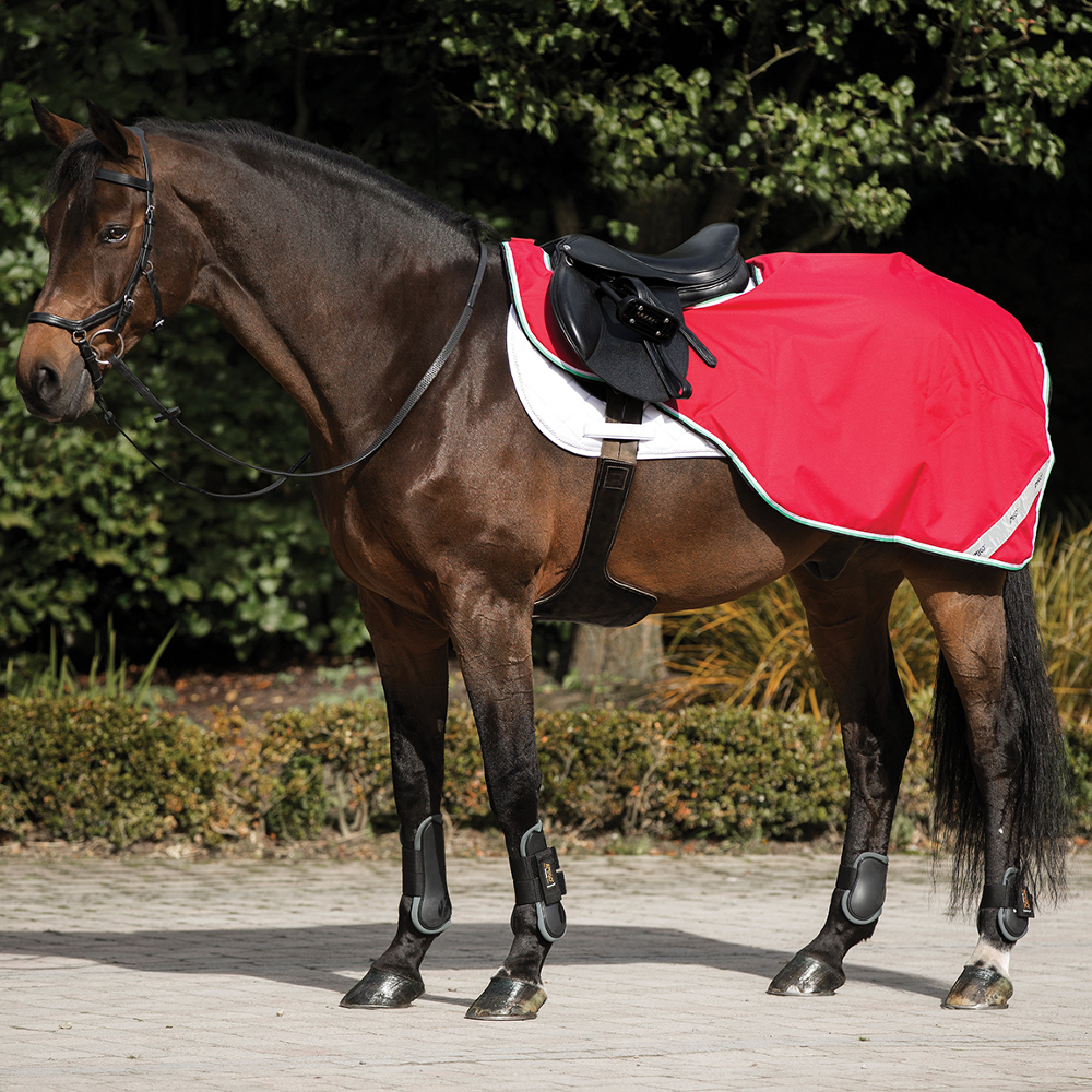 Horseware Amigo Comp Sheet 0g – Red/White/Green/Black Horseware Amigo Comp Sheet 0g – Red/White/Green/Black