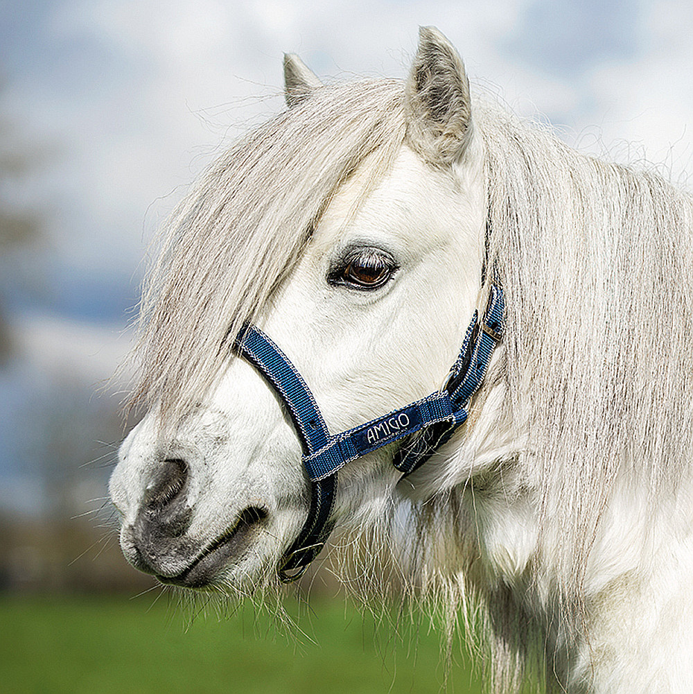 Horseware Amigo Headcollar – Navy/Silver