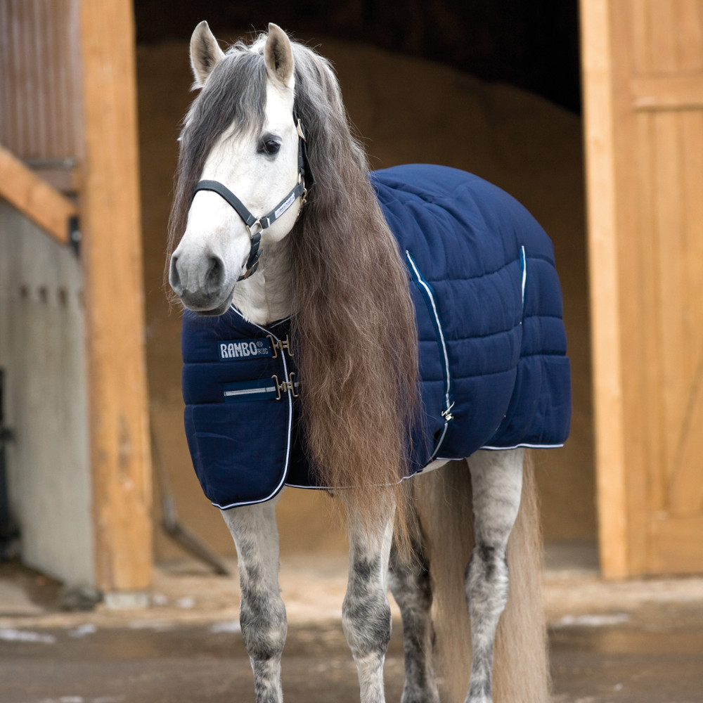 Comparer les prix de Horseware Rambo Stable Rug medium 200g - Marine/Blanche