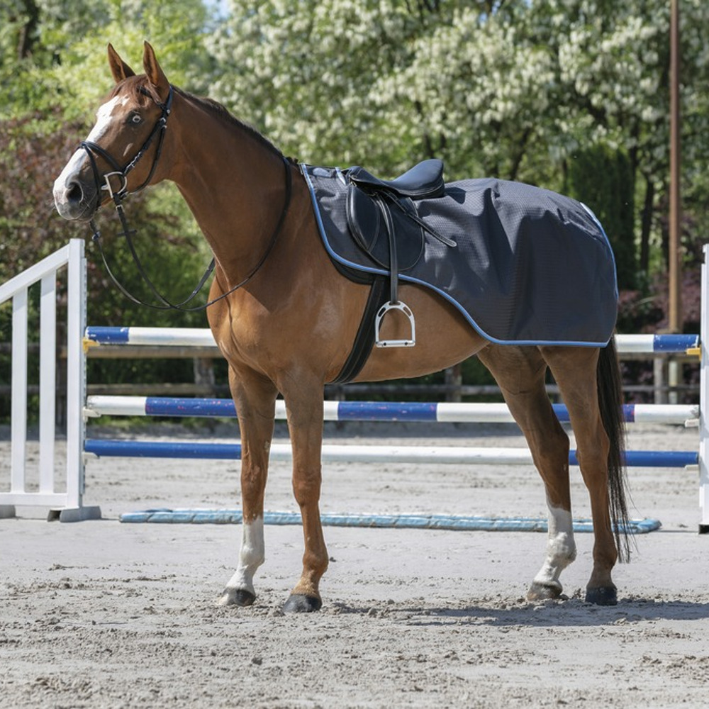 Equith me Tyrex 1200D Nierendecke Mit Polarfleece F tterung Grau blau 