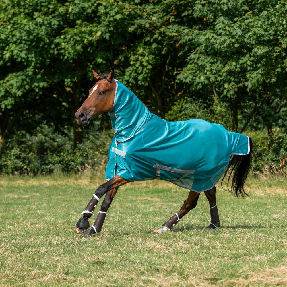 Bucas Freedom Fly Sheet Full Neck Lagoon , 155 HorSeven