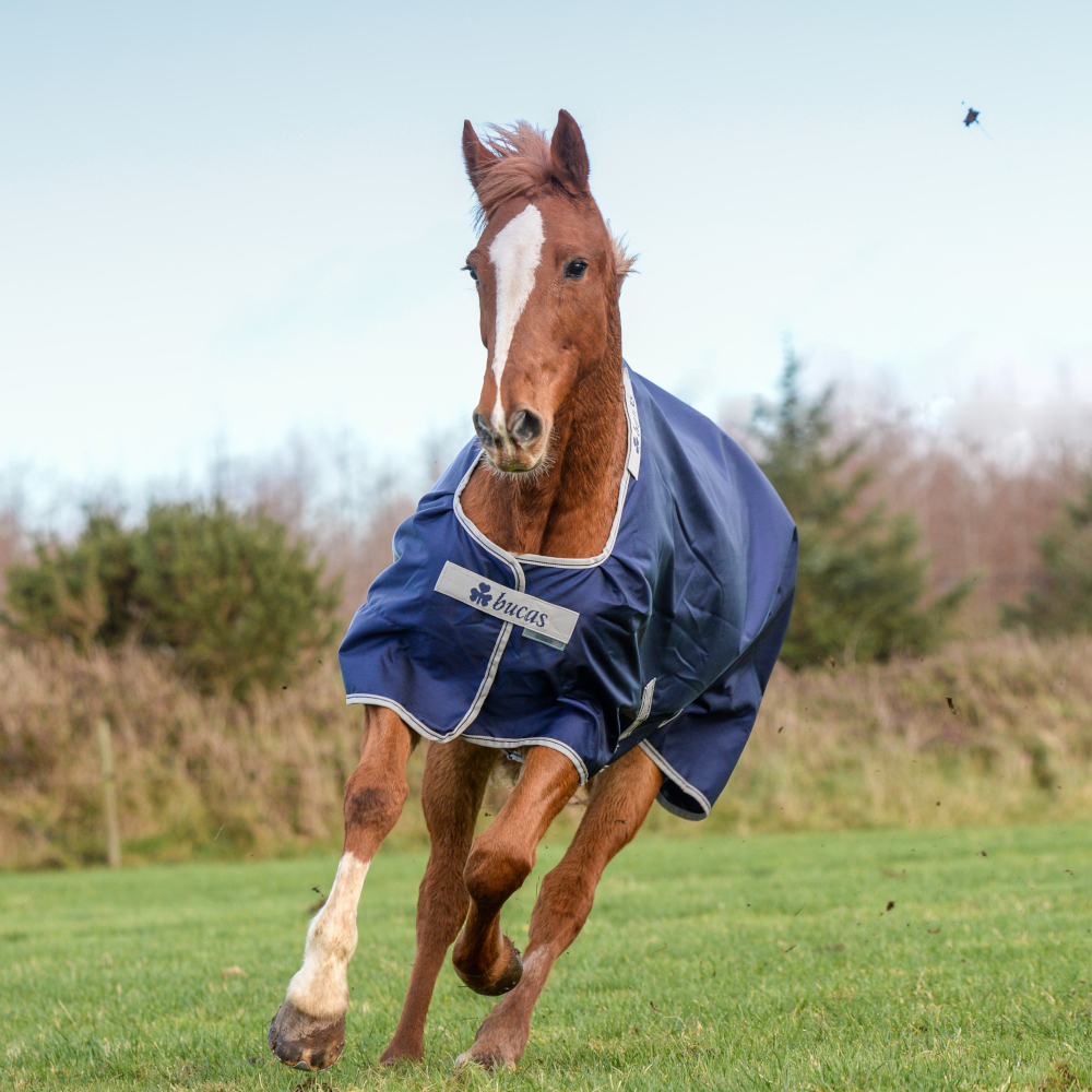 Comparer les prix de Bucas Atlantic Turnout 200g - Marine