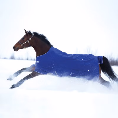 Horseware Amigo Hero 900D Turnout Medium 200g - Atlantic Blue/Ivory